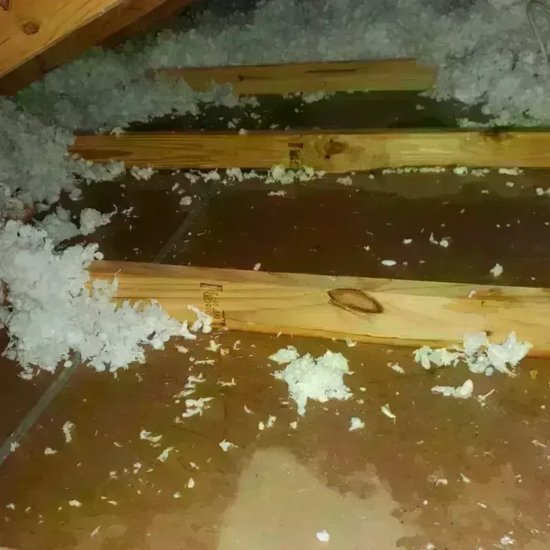 Attic Water Damage in Denmark, ME